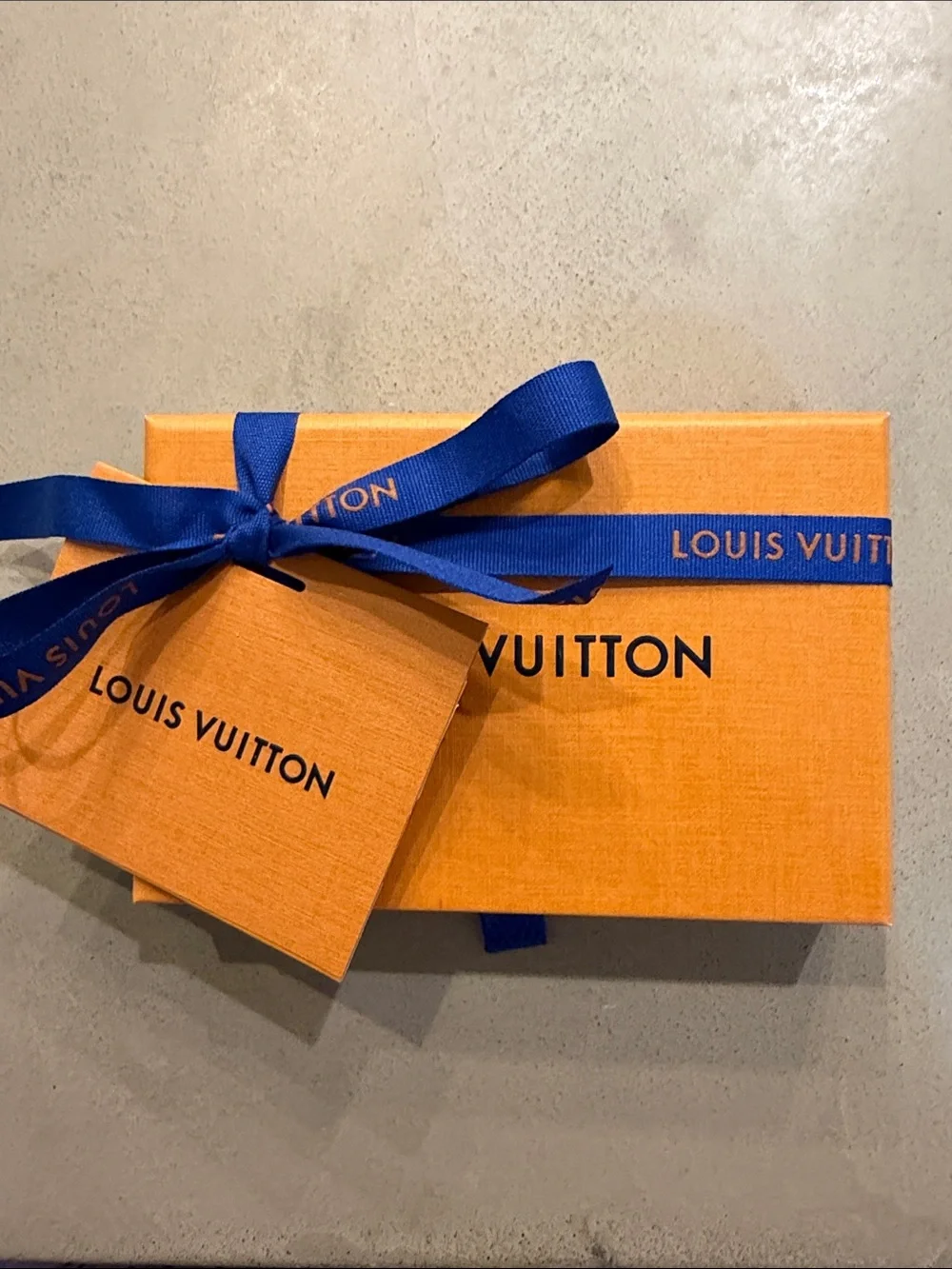LOUIS VUITTON | ✨CLASSIC✨ LV Cut Circle Key Holder and Bag Charm